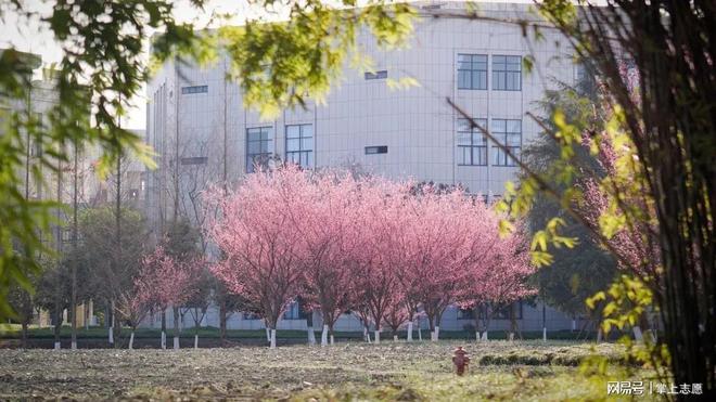 电子科技大学怎么样在电子领域内排名好不好？(图3)