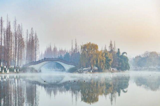 更新!电子科技大学排名怎么样？特色鲜明学科强劲！