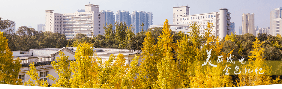 电子科技大学国际本科-商科哪个国家好-成都留学-中外合作办学